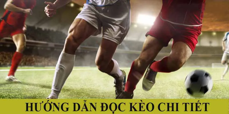 Hướng dẫn đọc kèo cá cược rung chi tiết