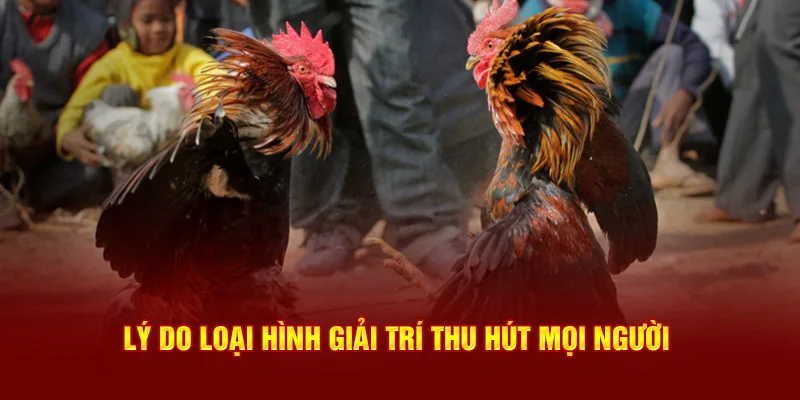 Lý do loại hình giải trí thu hút mọi người