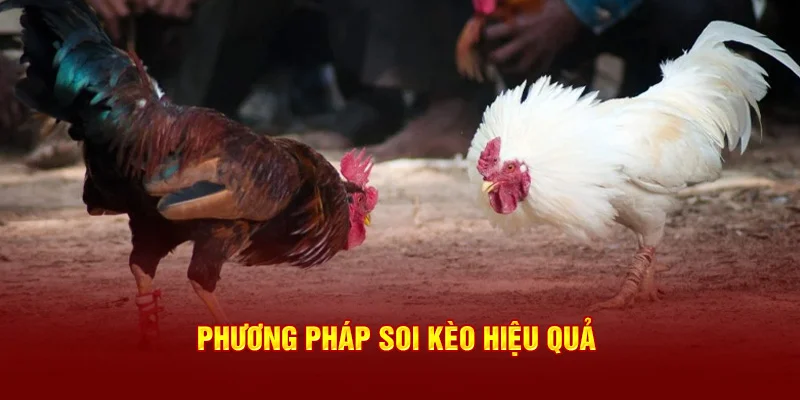 Phương pháp soi kèo hiệu quả