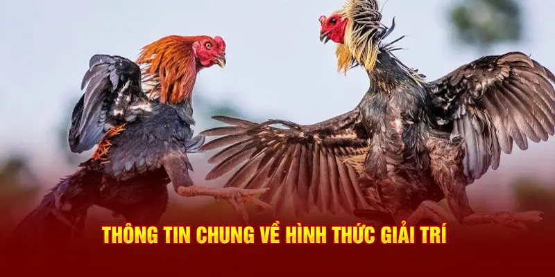 Thông tin chung về hình thức giải trí