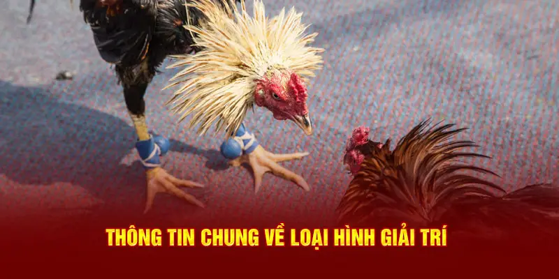 Thông tin chung về loại hình giải trí