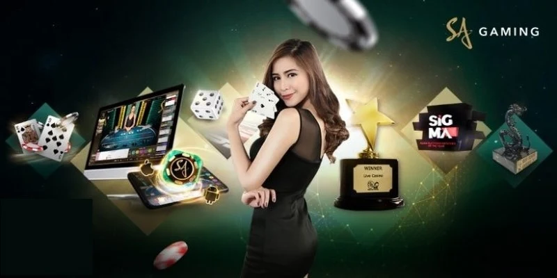 Tham gia đặt cược Poker